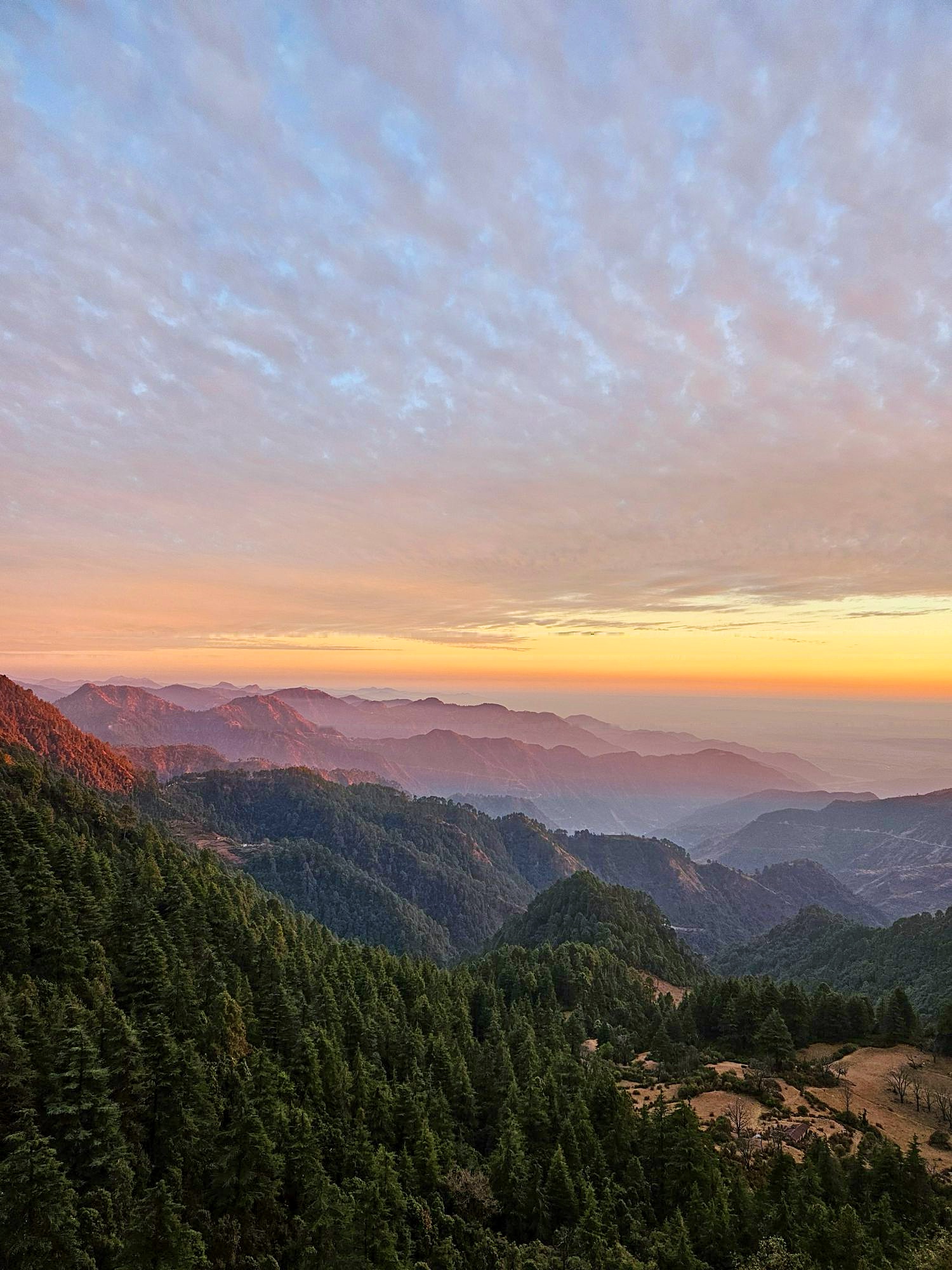 Winterline Mussoorie: glowing false horizon at sunset above the hazy valley and pine forests, shot and edited by The Wimpy's Wrath